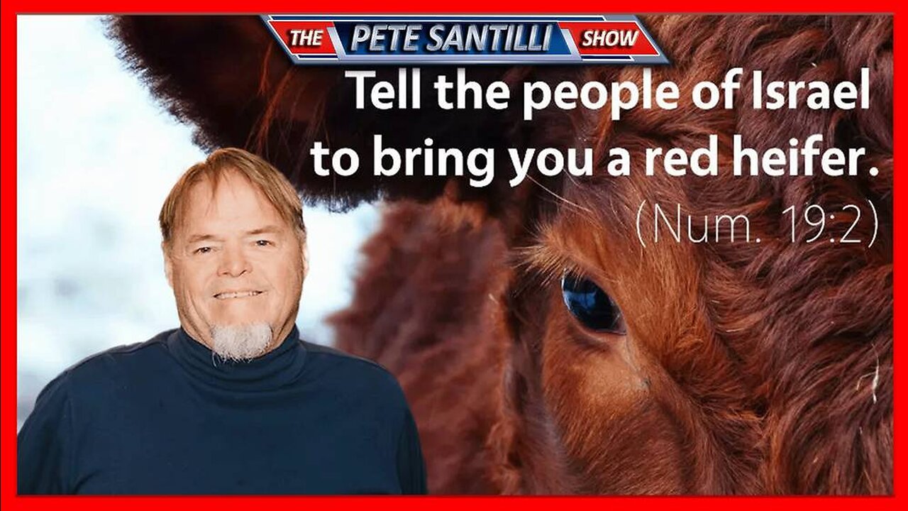 Byron Stinson: "A Red Cow Will Fulfill Biblical Prophecy & Gain The Attention Of The World"