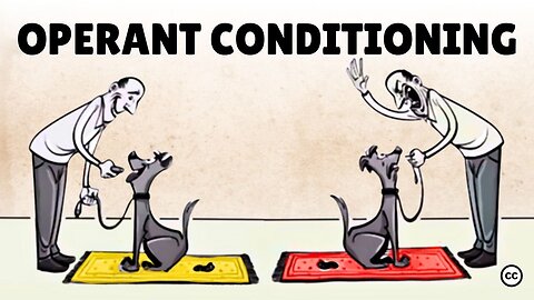 Skinner’s Operant Conditioning: Rewards & Punishments