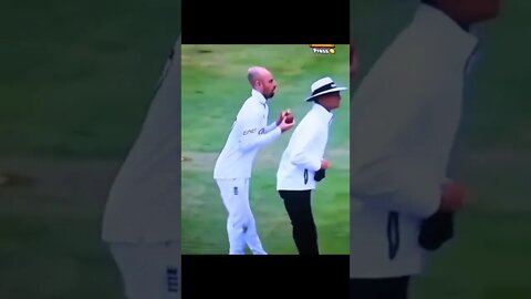 Cricket Fun