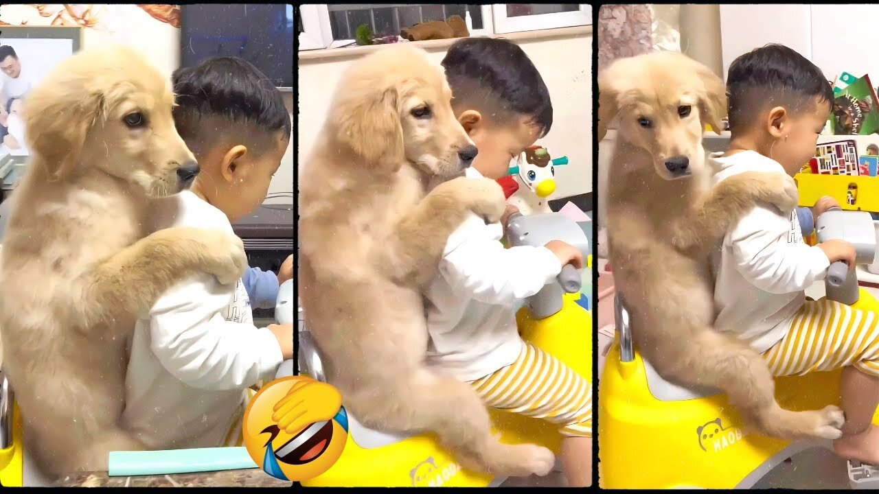 Funny Animal Videos 2023 😇 - Funniest Dogs and Cats Videos 🥰
