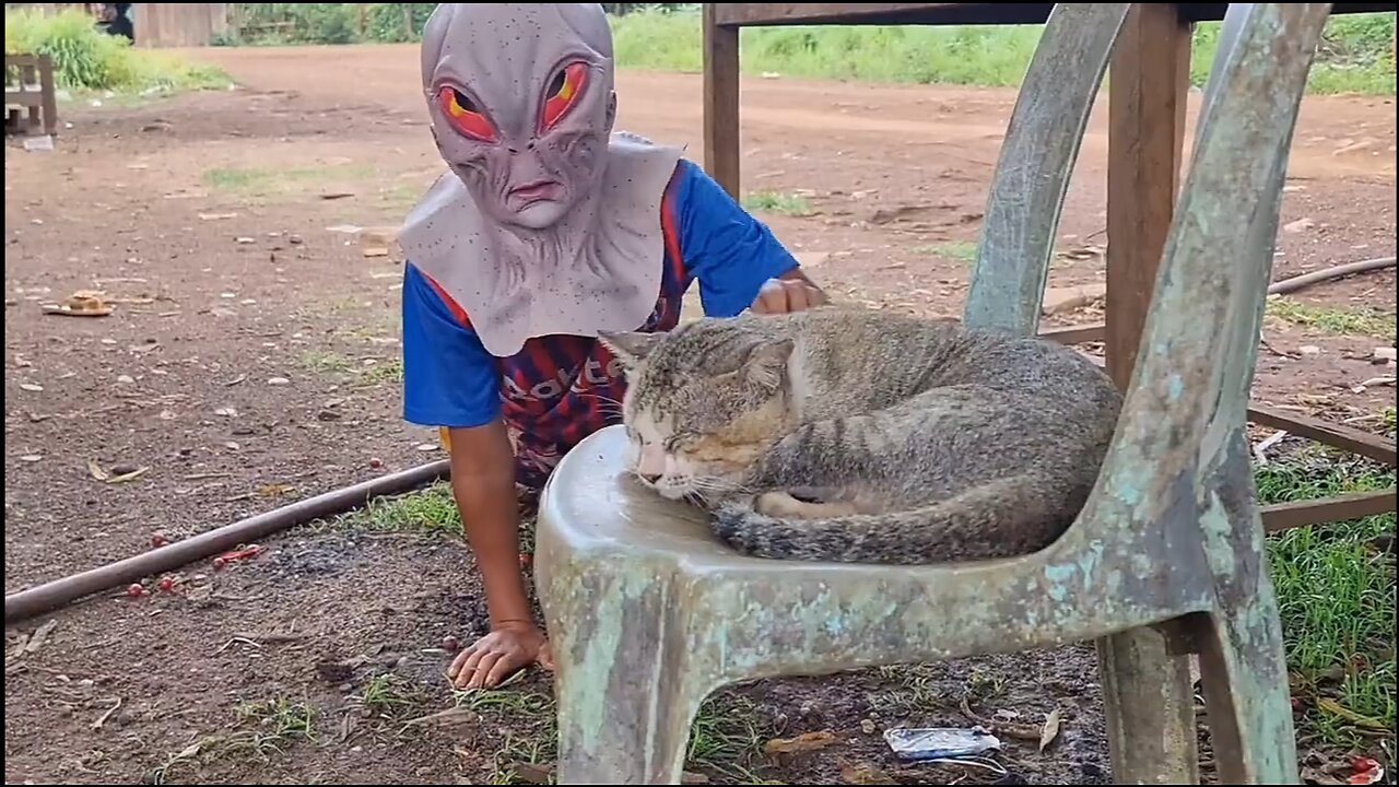 Funny Video 😅 || Fake chucky, Fake Alien and Fake Wolf Prank to Dog 🐕 || entertained09