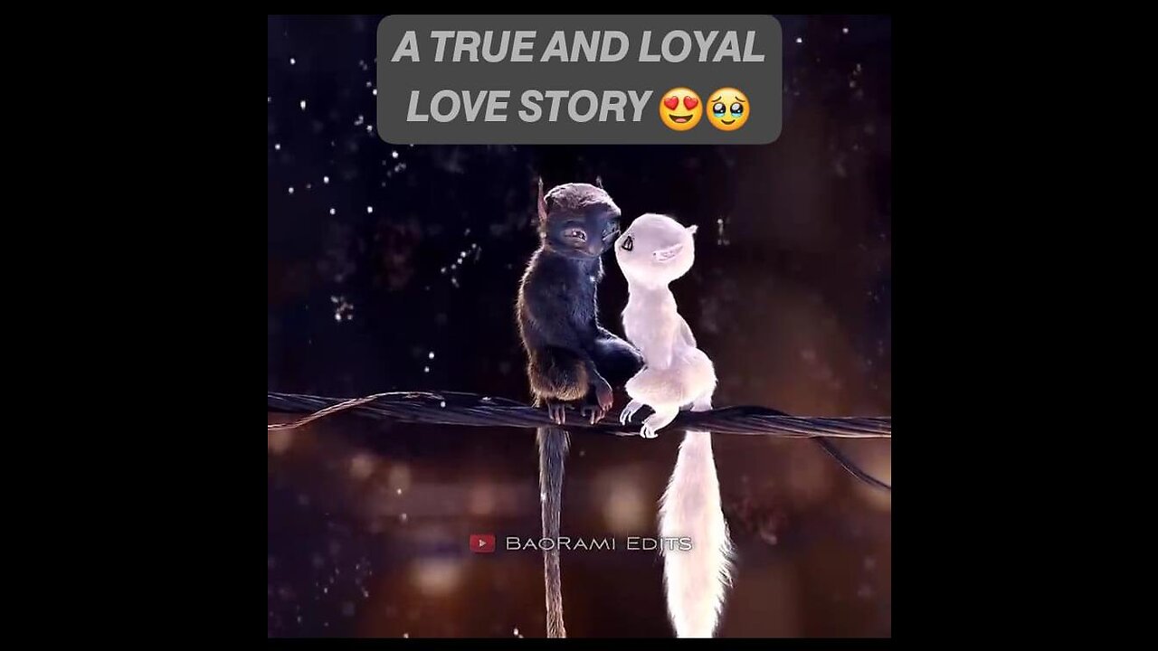 The Unexpected Love Story