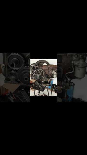 #shorts #2022 funny,prank,funjokes,dad jokes,funny memes,funny video,fun,laughing,funny animal,knock