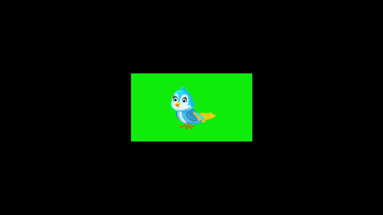 Birds Songs
