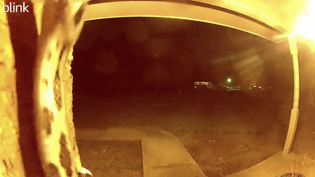 Huge Python At Woman’s Front Door Caught on Blink Camera | Doorbell Camera Video