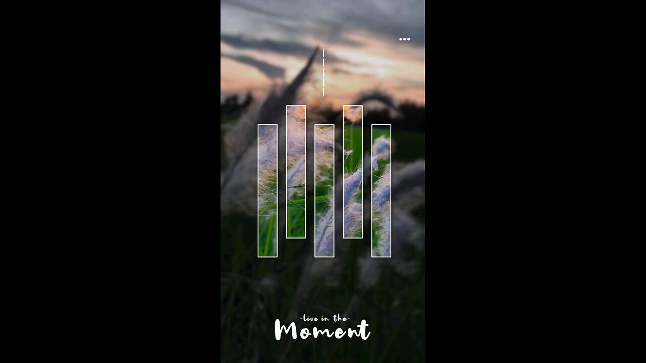 Live In The Moment