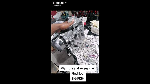 Can am engine