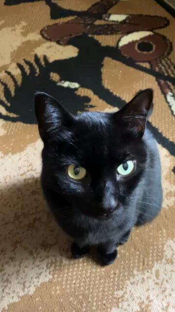 A special announcement from our CEO