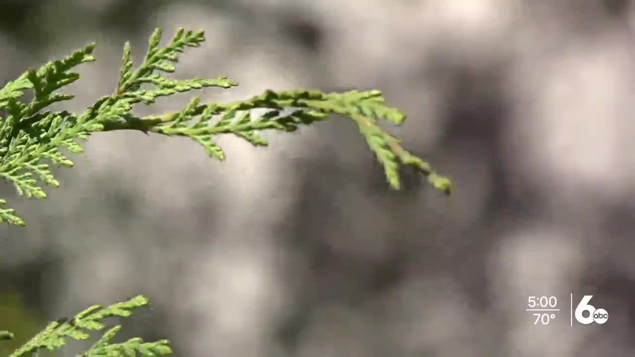 Southern Idaho gardeners watchful of springtime weather