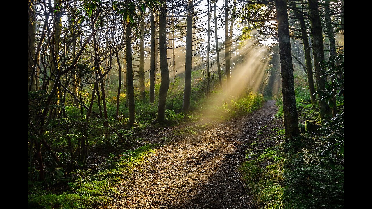 "Hiking Through Heaven" ft. Walter Zolna 7/6/23