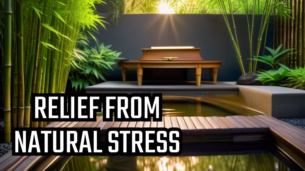 Discover the Best Mind Relaxing Music and Relieve Stress - Piano and Bamboo Water Sounds