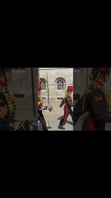 Horse Guards parade closes mid day because of Animal rebellion protest #horseguardsparade