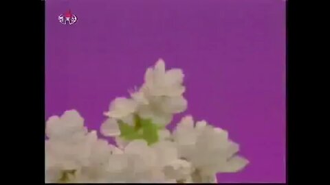 Korean song by little girl with great expression
