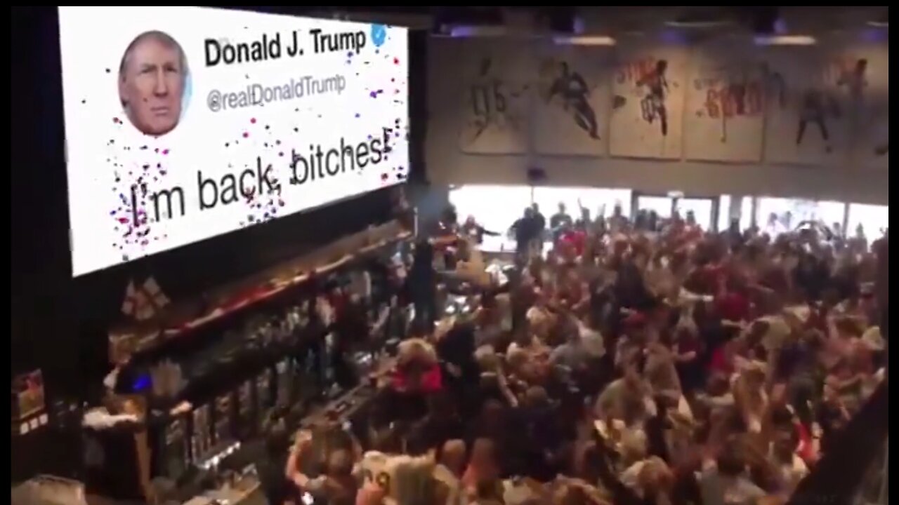 DJT - Im Back Bitches