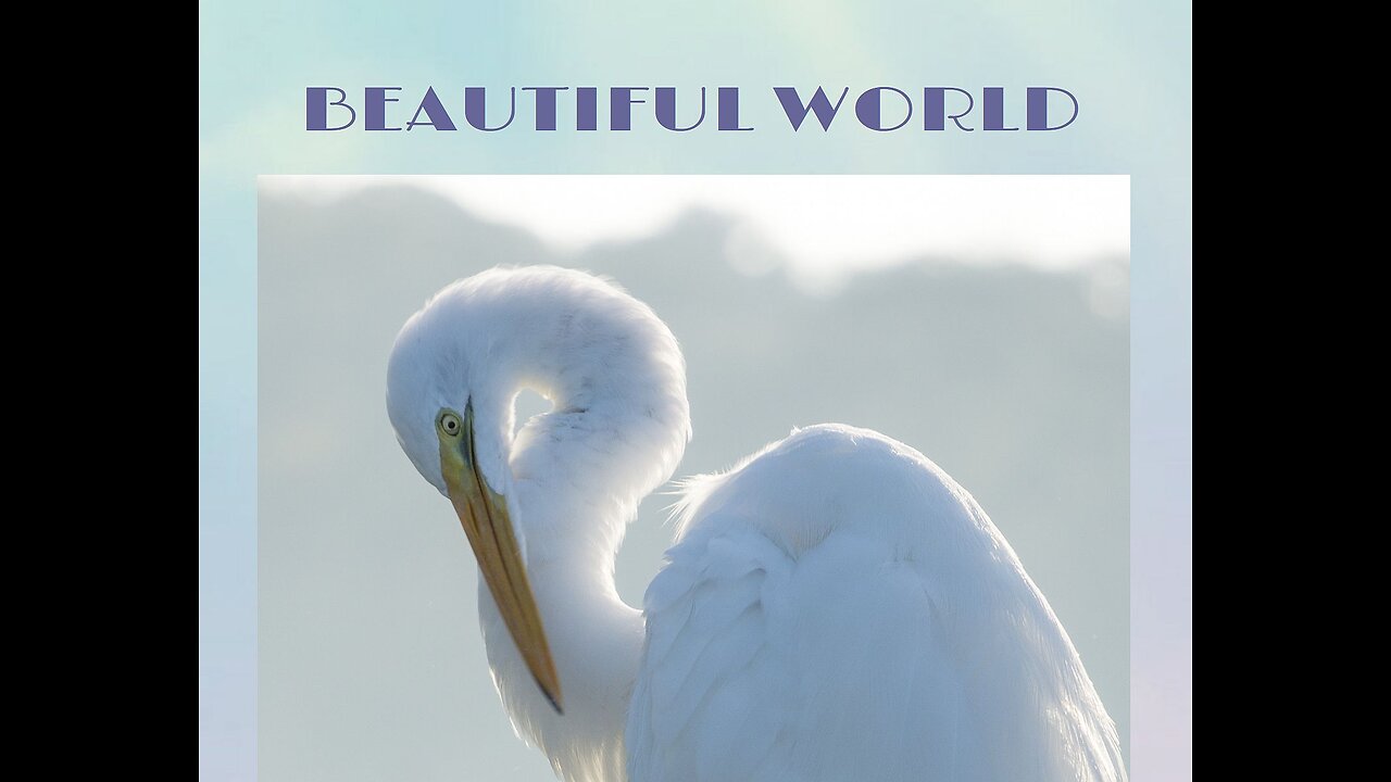 Beautiful World 2