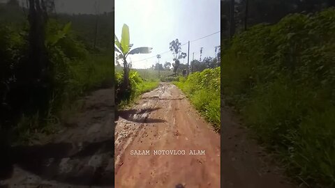 keindahan alam perkebunan #alamperkebunan #alampedesaan #short #shorts #nature