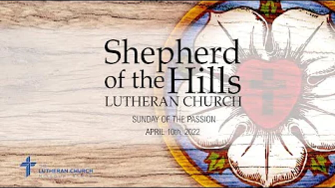 2022-04-10 - THE SUNDAY OF THE PASSION/PALM SUNDAY