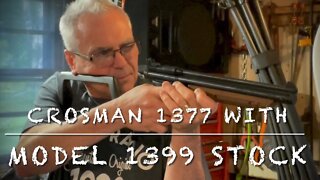 Crosman 1377 American Classic with model 1399 custom stock. Rifle? Pistol? Carbine? .177 multi pump