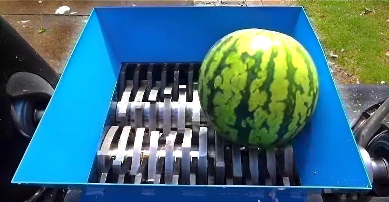 Shredder Vs WaterMelon Experiment ASMR