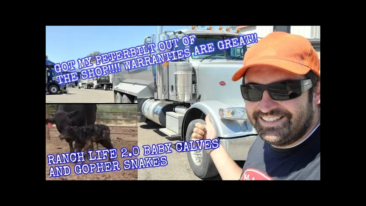 PETERBILT IS BACK ON THE ROAD AFTER DEF LEVEL SENSOR PUT MY TRUCK INTO LIMP MODE!
