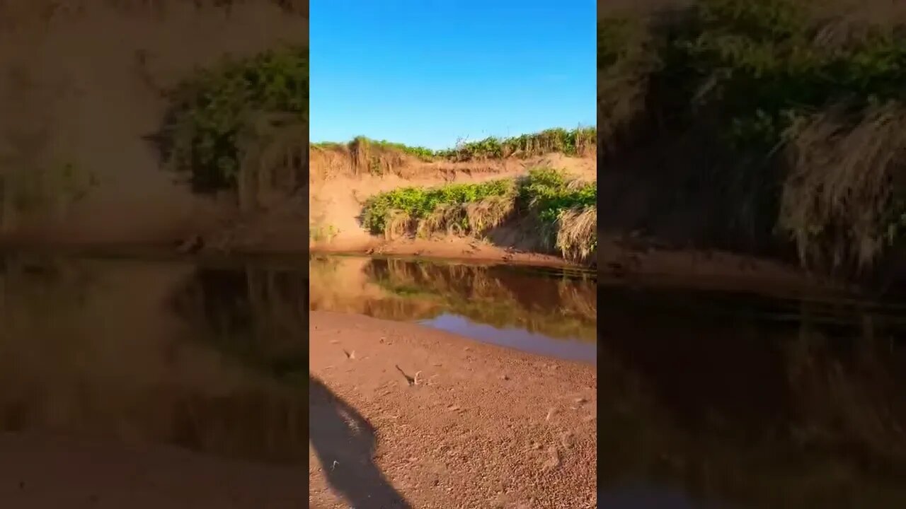Beautiful evening at the beach