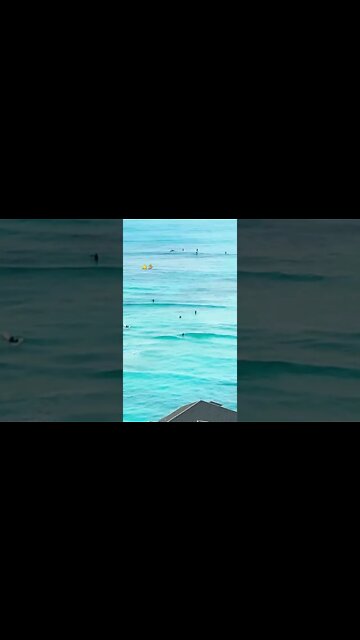 LAST CALL FOR SURFING 🏄‍♀️