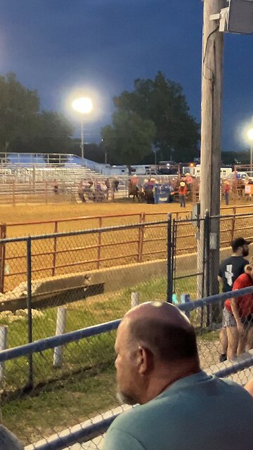 Steer Wrestling at Rodeo