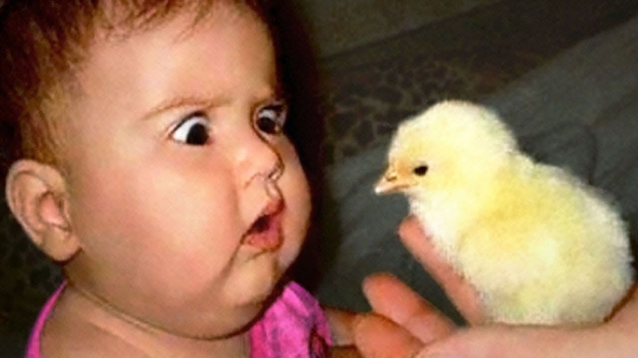 Funniest Baby Videos of the Week - Try Not To Laugh