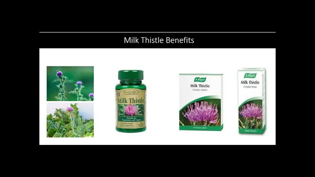 Milk Thistle Benefits