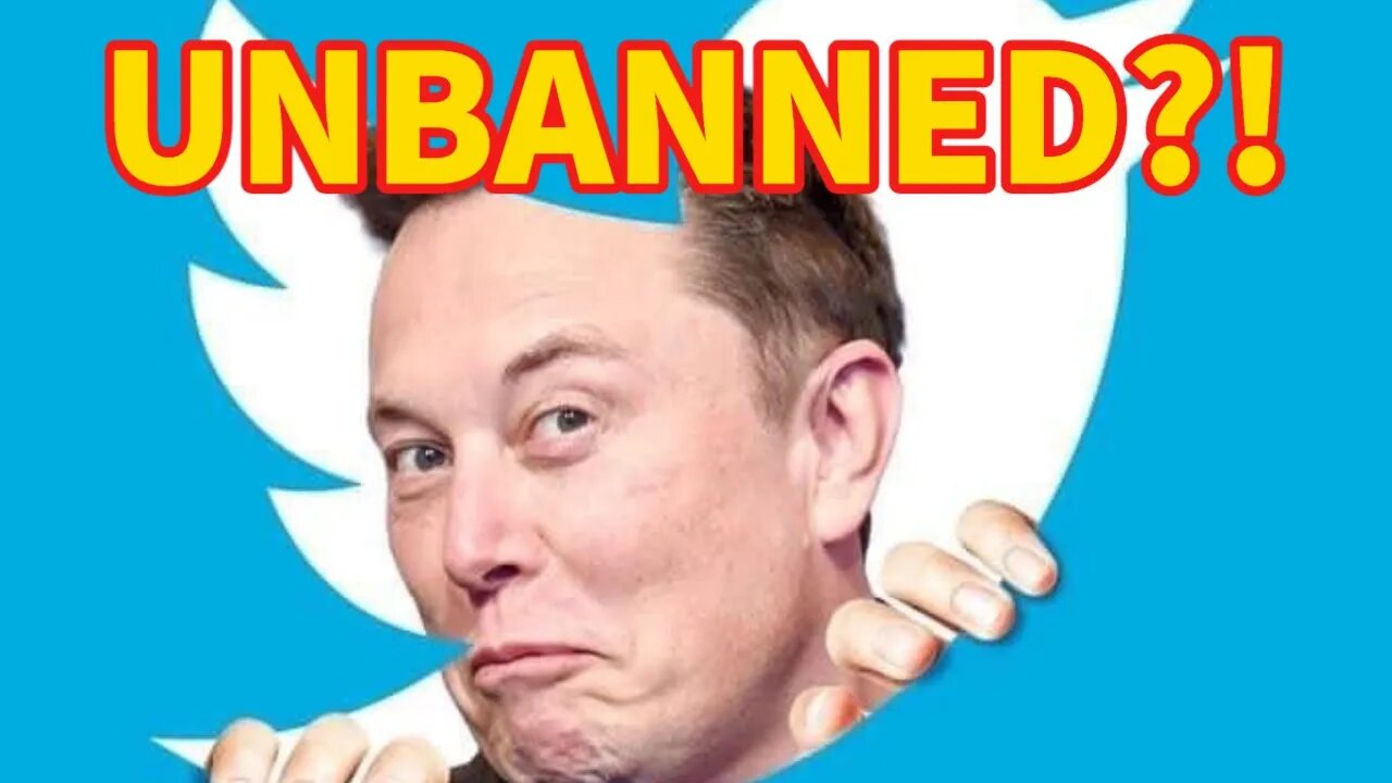 Twitter UNBANNING Spree + How To Get YOUR Account UNLOCKED!