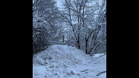 Outside my dog 🐕 Naikneesha snow ❄️ storm no that bad Cohoes New York no lot snow ❄️ good