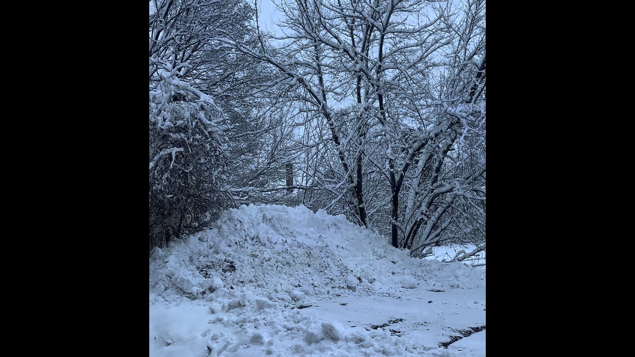 Outside my dog 🐕 Naikneesha snow ❄️ storm no that bad Cohoes New York no lot snow ❄️ good