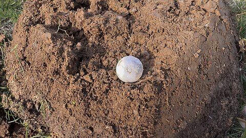 Silver Cufflink Metaldetecting