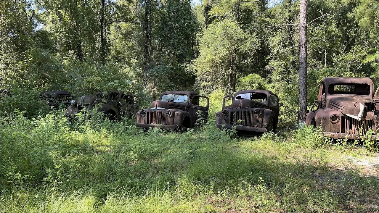 Got Fords?