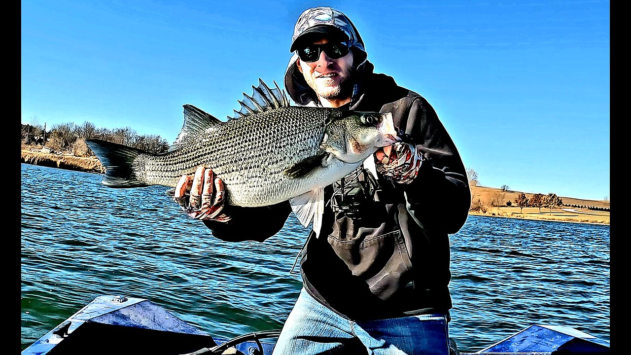 Blade Baits Catch a Ton of Fish in Winter Conditions!