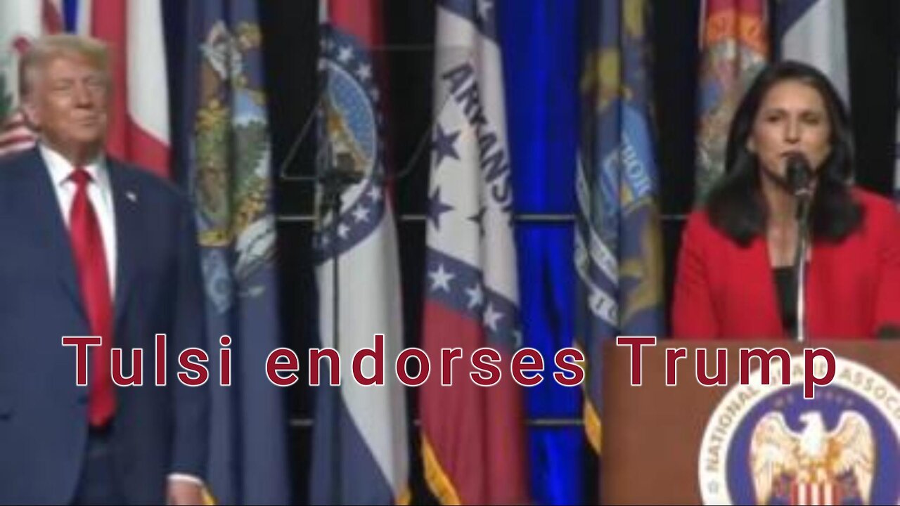 the constitutionalist - Ep. 36 Tulsi endorses Trump!