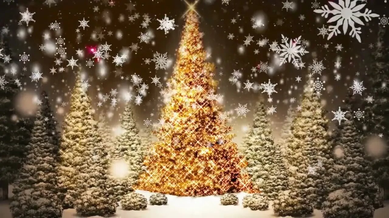 Snowflakes Falling Christmas Trees Motion Graphic Video Loop