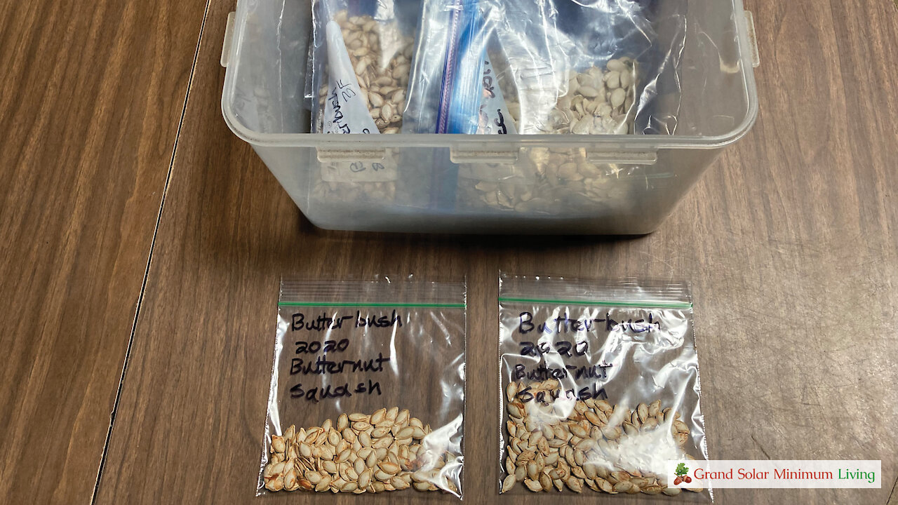 Seed Storage - How to safely take seeds in and out of storage