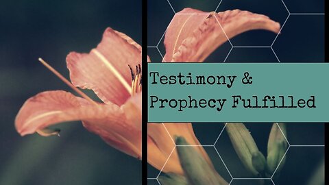 Prophecy & Testimony Report 9-4-24