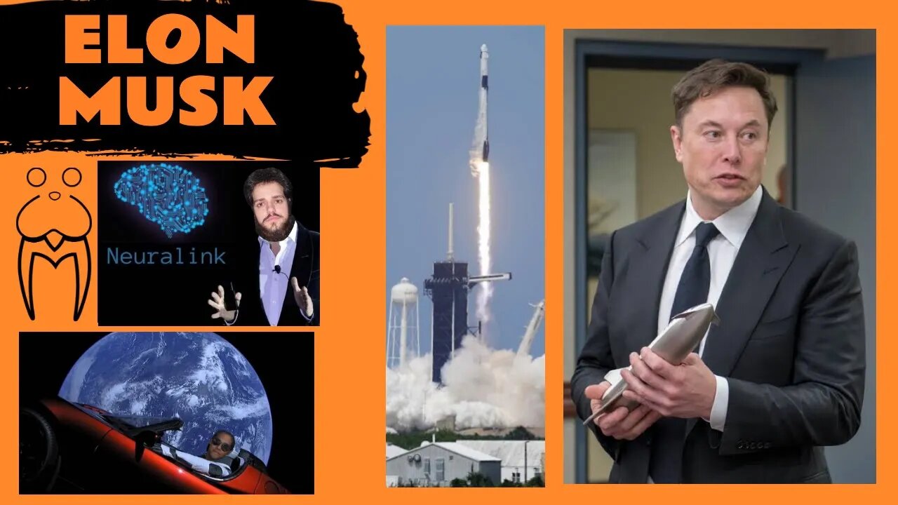 Elon Musk part.1 - Covil do Morsa #014