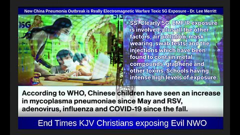 New China Pneumonia Outbreak is Really Electromagnetic Warfare Toxic 5G Exposure - Dr. Lee Merritt