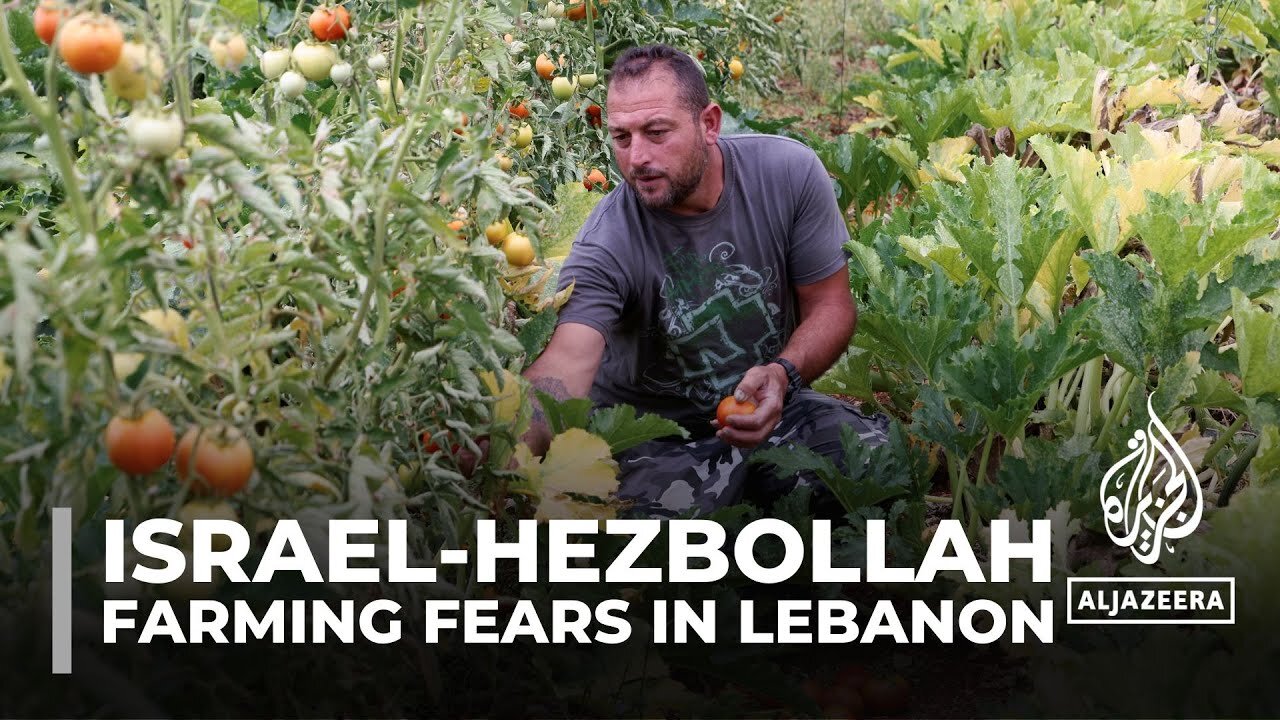 Israel-Hezbollah tensions: Near daily exchange of fire affecting livelihoods