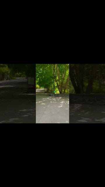 Walking into Point Pleasant Park Halifax