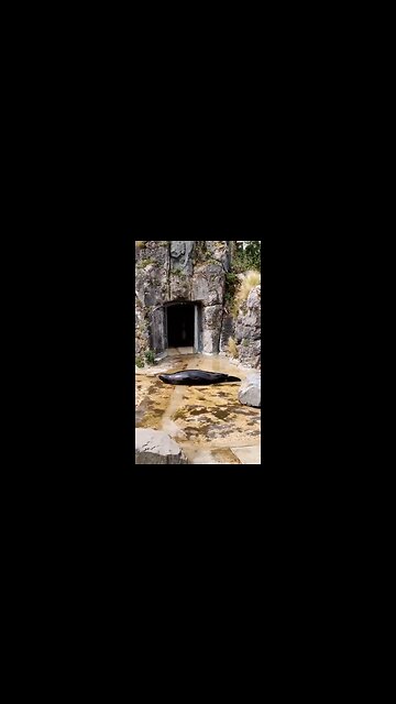 They see me roll’n