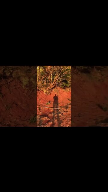 Golden hour Color’s are so vibrant