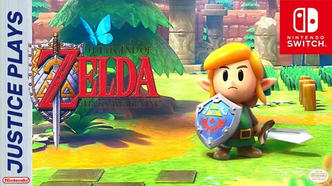 Link's Awakening part 2 (Justice Plays 2020)