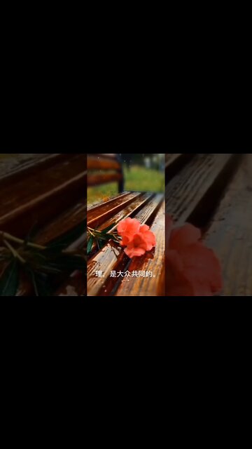 开悟堂世界公民频道 Kai wu tang world citizen channel