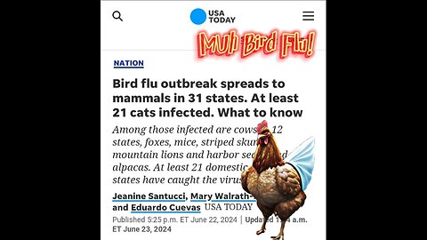 🤔Chicken Flu 2024: Same playbook as Swine Flu in 1976.