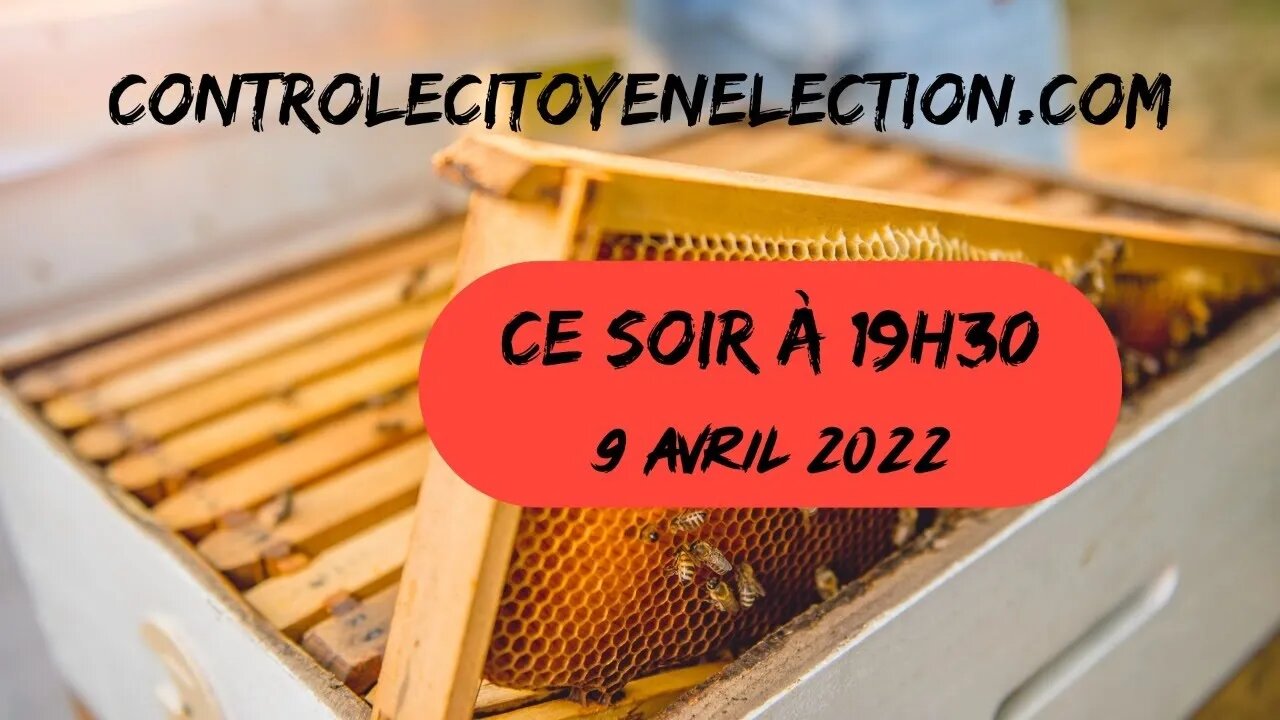 La ruche parle aux abeilles. controlecitoyenelection.com