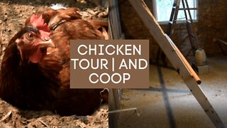 Chicken Tour!